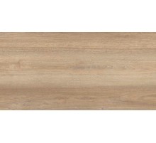 Ламинат Kastamonu Sunfloor SF02 Дуб Миланский